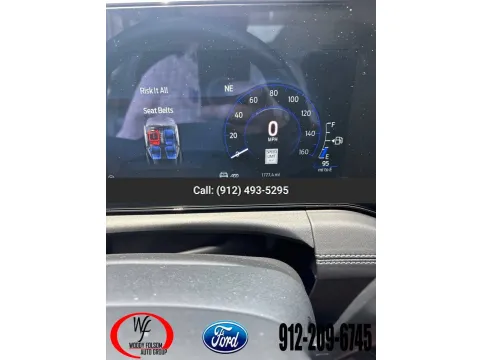 Gray 2024 Ford Mustang GT Premium for sale in Baxley, GA