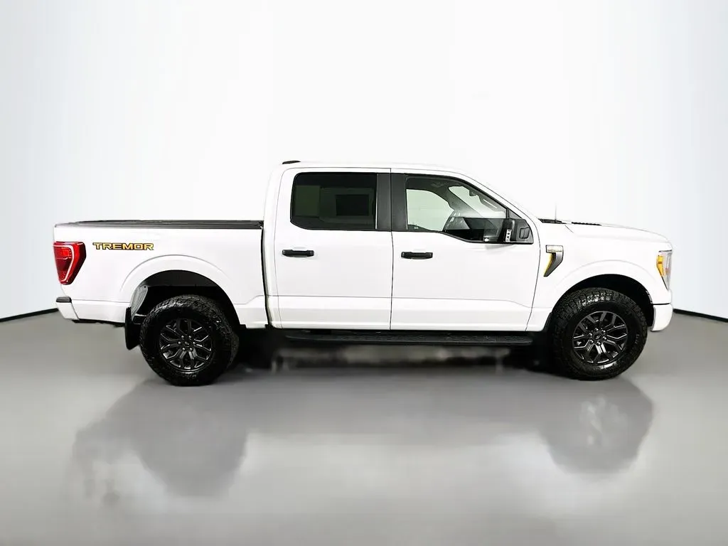 2022 Ford F-150 Tremor - Photo 7