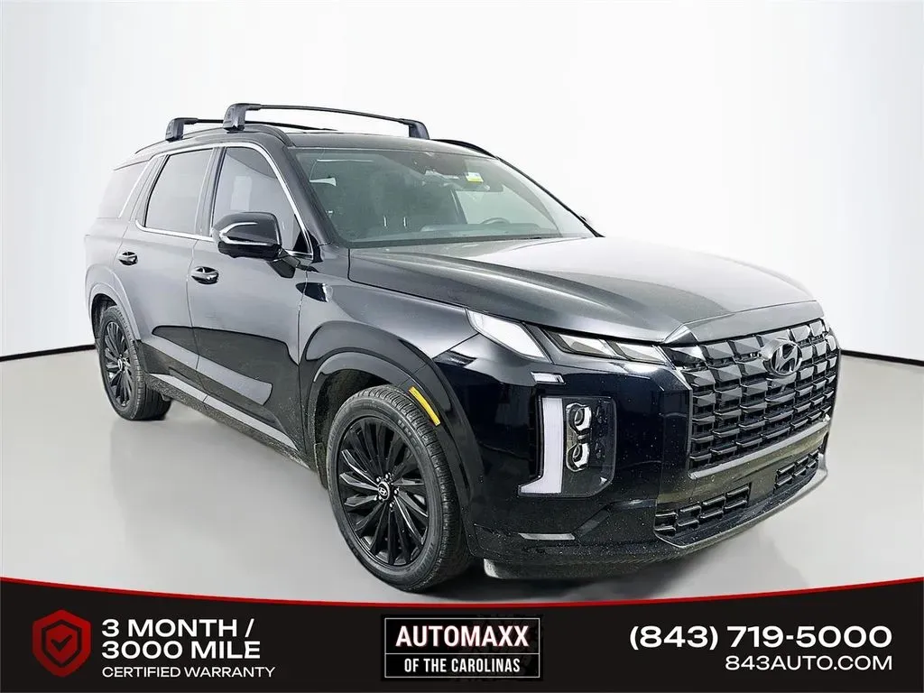 Black 2024 Hyundai Palisade Calligraphy Night Edition for sale in Summerville, SC