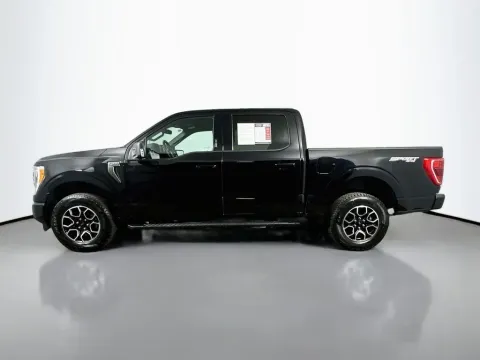 More photos of 2023 Ford F-150 XLT at Automaxx of the Carolinas, SC