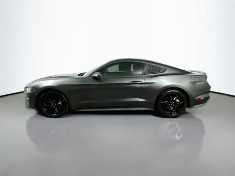More photos of 2019 Ford Mustang EcoBoost at Automaxx of the Carolinas, SC