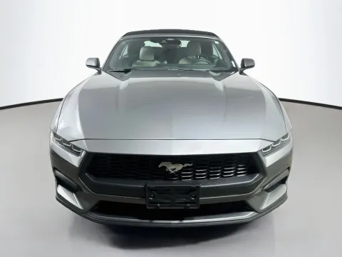 Photos of 2024 Ford Mustang EcoBoost Premium for sale in Summerville, SC at Automaxx of the Carolinas