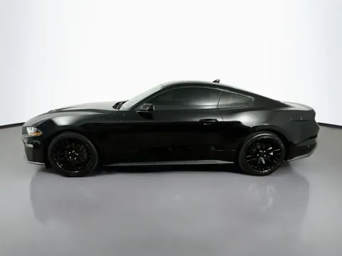 More photos of 2022 Ford Mustang EcoBoost at Automaxx of the Carolinas, SC