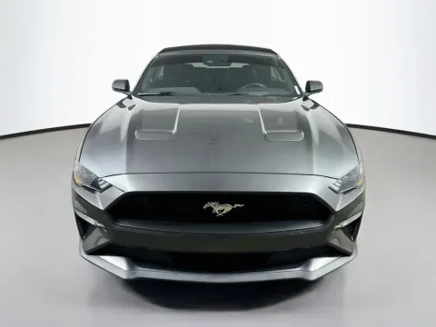 Photos of 2019 Ford Mustang EcoBoost Premium for sale in Summerville, SC at Automaxx of the Carolinas
