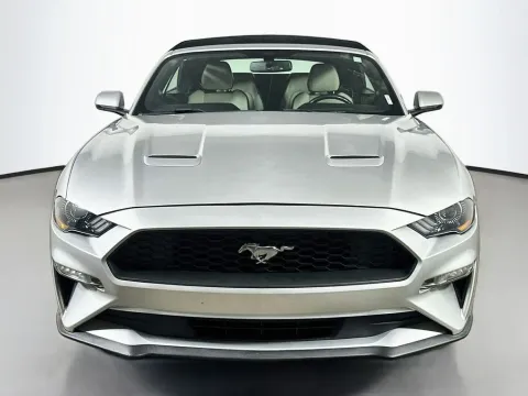 Photos of 2019 Ford Mustang EcoBoost Premium for sale in Summerville, SC at Automaxx of the Carolinas