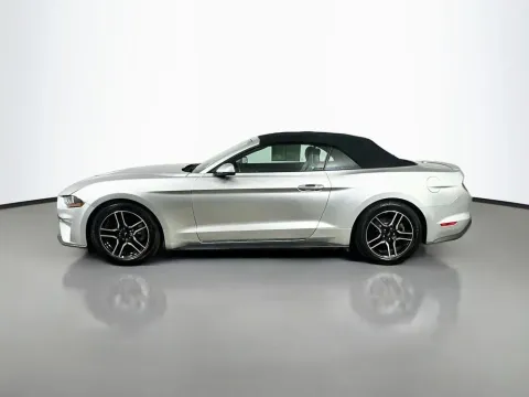 More photos of 2019 Ford Mustang EcoBoost Premium at Automaxx of the Carolinas, SC