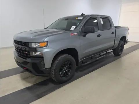 Gray 2019 Chevrolet Silverado 1500 Custom Trail Boss for sale in Summerville, SC