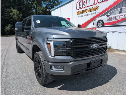 Gray 2024 Ford F-150 Platinum for sale in Summerville, SC
