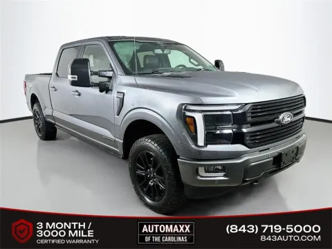 Gray 2024 Ford F-150 Platinum for sale in Summerville, SC