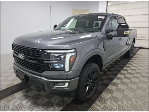 Gray 2024 Ford F-150 Platinum for sale in Summerville, SC