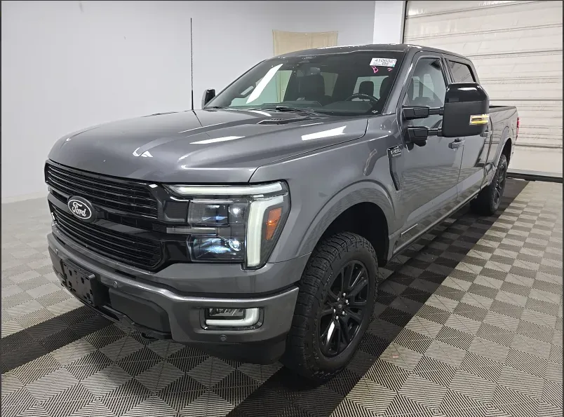 Gray 2024 Ford F-150 Platinum for sale in Summerville, SC
