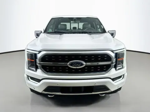 Photos of 2023 Ford F-150 Platinum for sale in Summerville, SC at Automaxx of the Carolinas