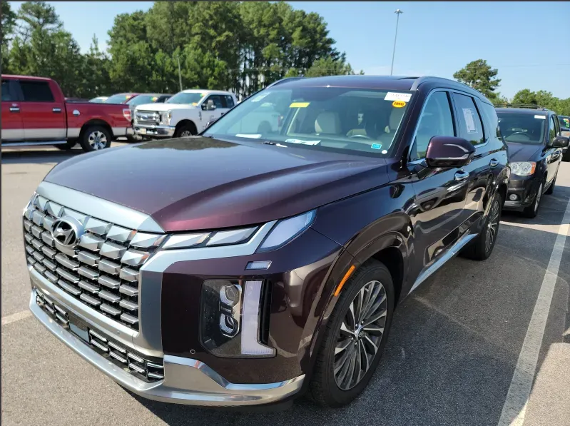 Red 2024 Hyundai Palisade Calligraphy for sale in Summerville, SC