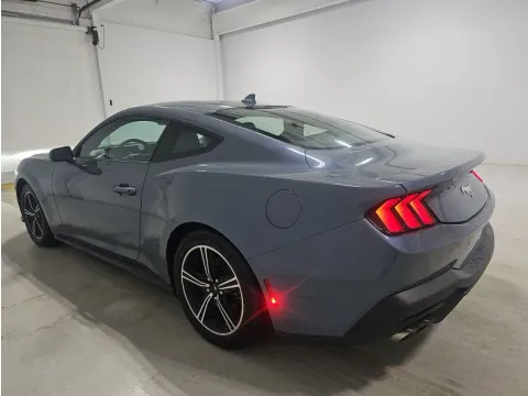 More photos of 2024 Ford Mustang EcoBoost at Automaxx of the Carolinas, SC