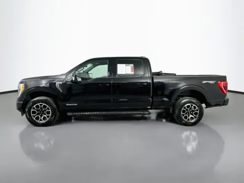 More photos of 2023 Ford F-150 XLT at Automaxx of the Carolinas, SC