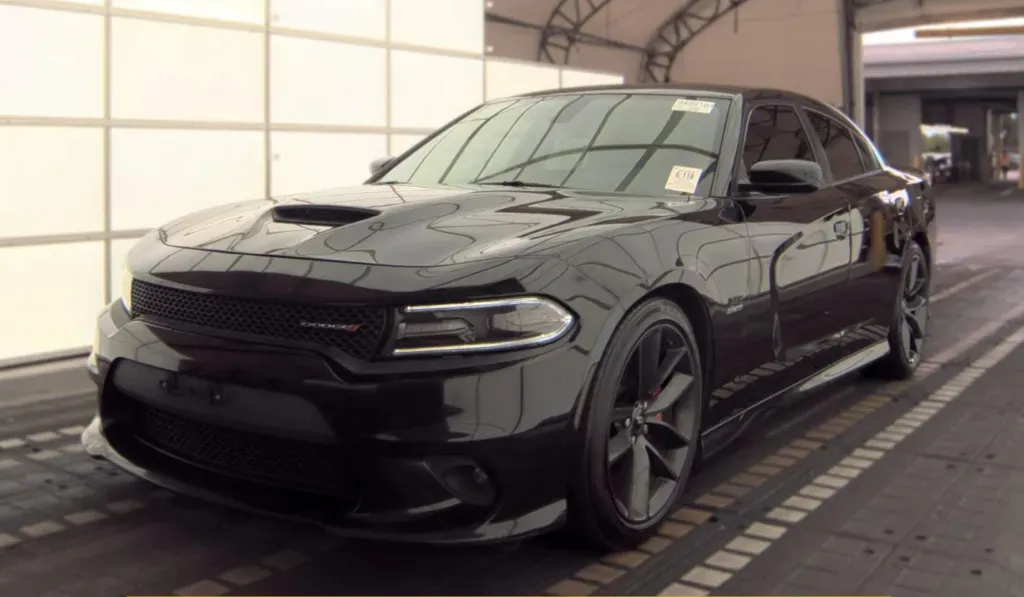 Black 2019 Dodge Charger R/T for sale in Summerville, SC