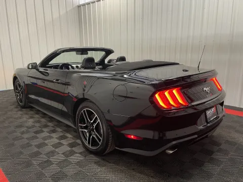 Photos of 2023 Ford Mustang EcoBoost Premium for sale in Branson West, MO at Oakley Auto World