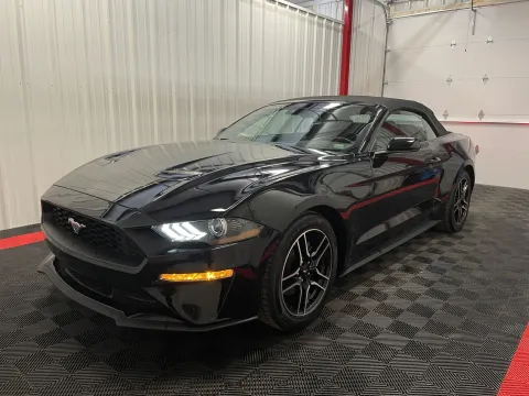 More photos of 2023 Ford Mustang EcoBoost Premium at Oakley Auto World, MO