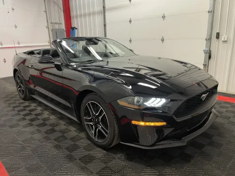 More photos of 2023 Ford Mustang EcoBoost Premium at Oakley Auto World, MO