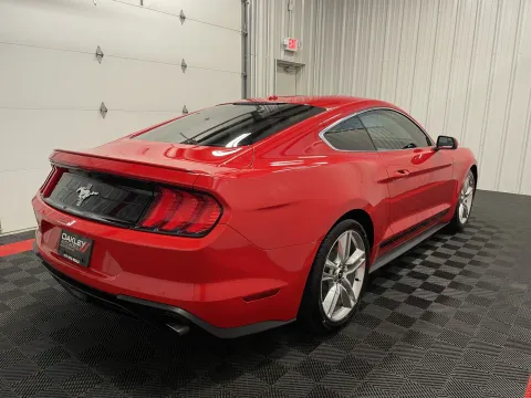 More photos of 2019 Ford Mustang EcoBoost Premium at Oakley Auto World, MO