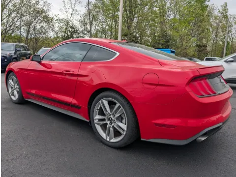 Photos of 2019 Ford Mustang EcoBoost Premium for sale in Branson West, MO at Oakley Auto World