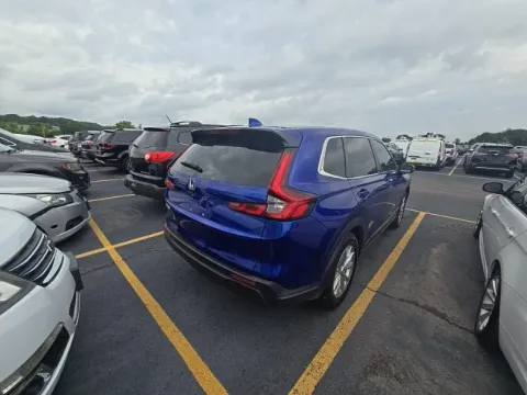 More photos of 2024 Honda CR-V EX-L at Oakley Auto World, MO