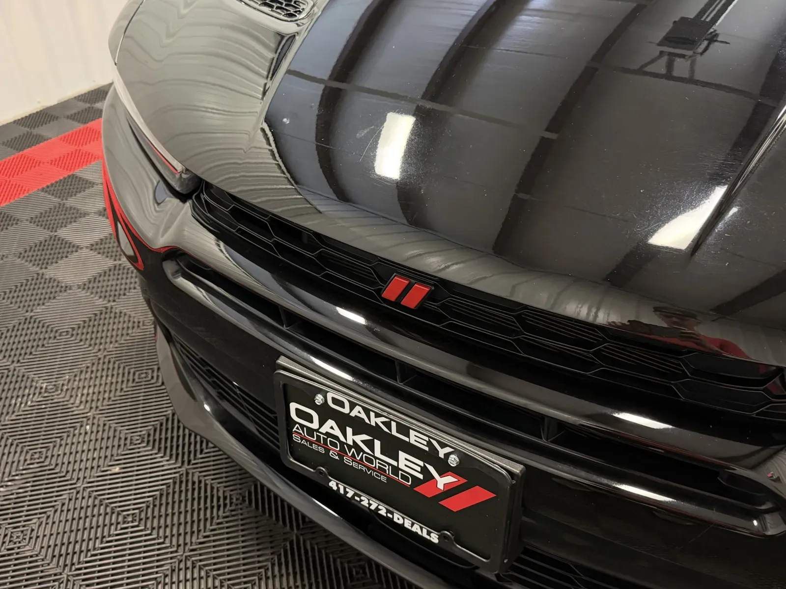 Dodge Hornet photo 8