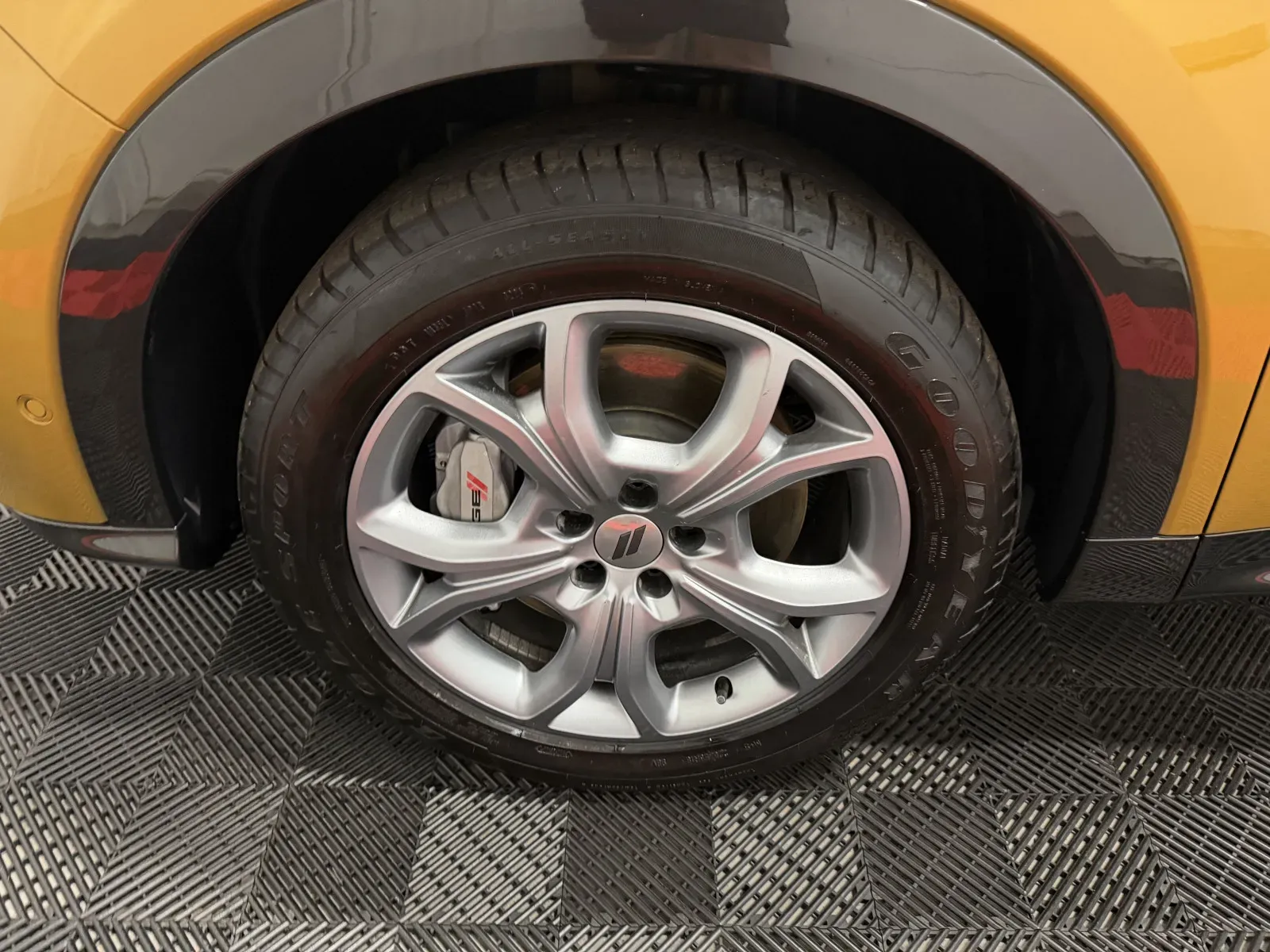 Dodge Hornet photo 11