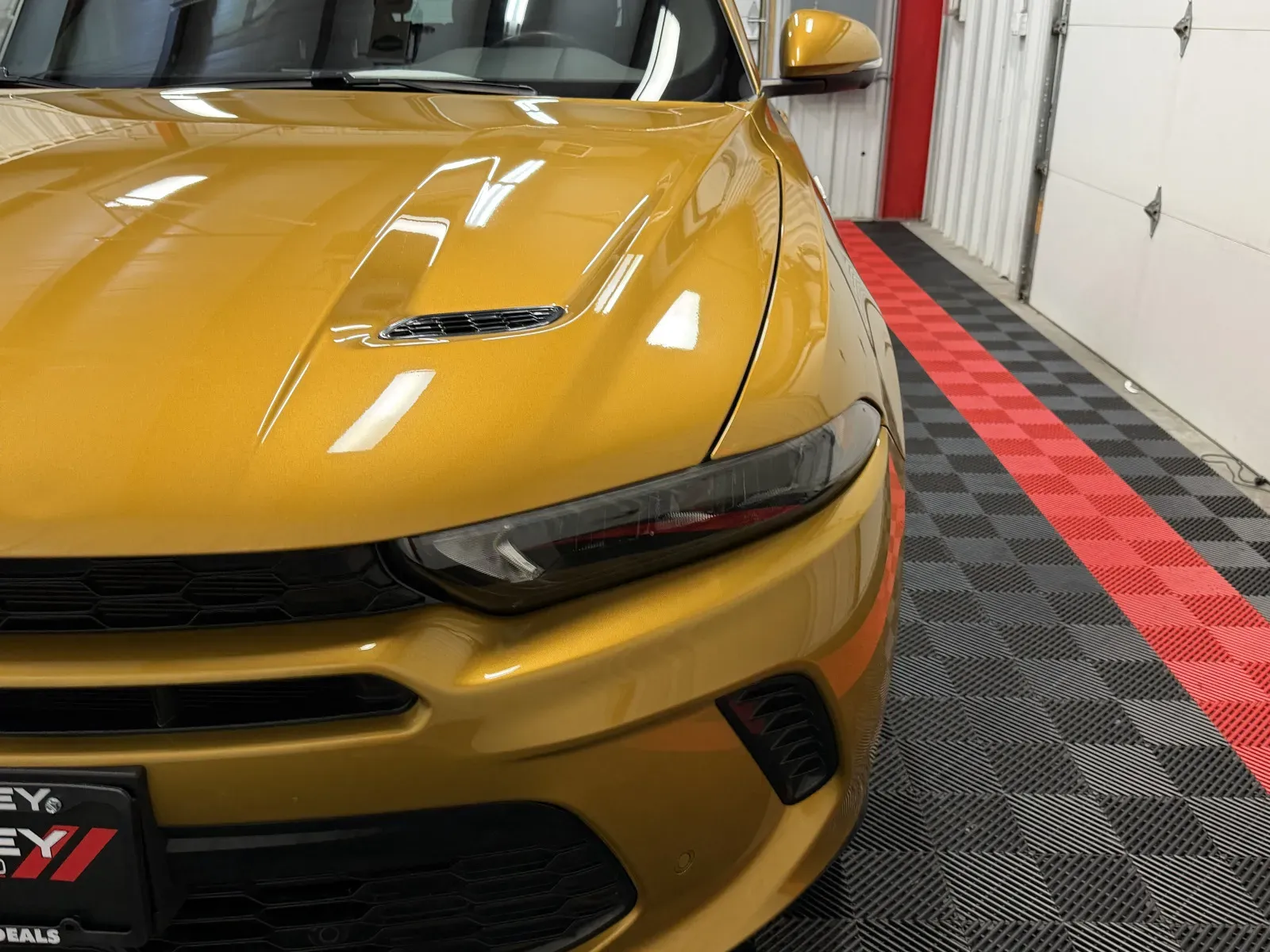 Dodge Hornet photo 9
