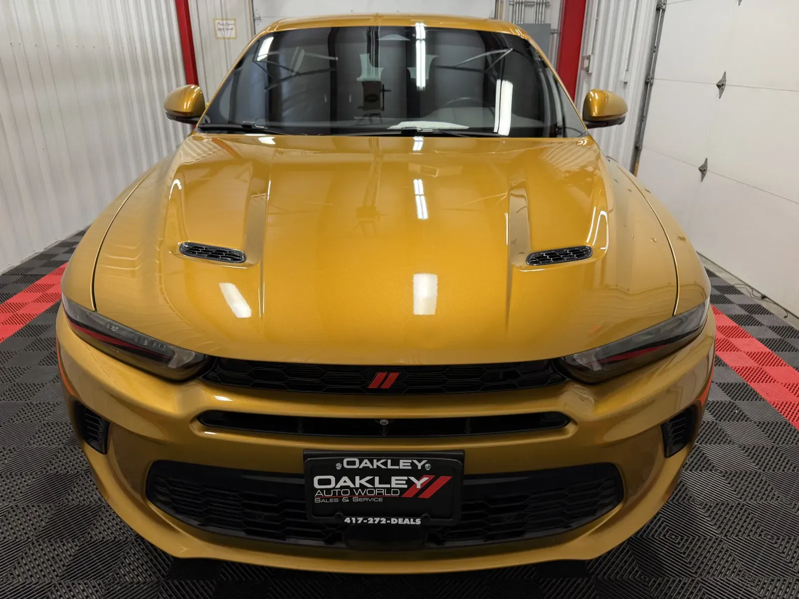 Dodge Hornet photo 7