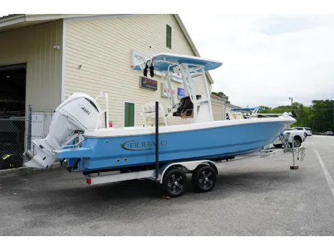 2026 Robalo 246 Cayman for sale in Charleston, SC