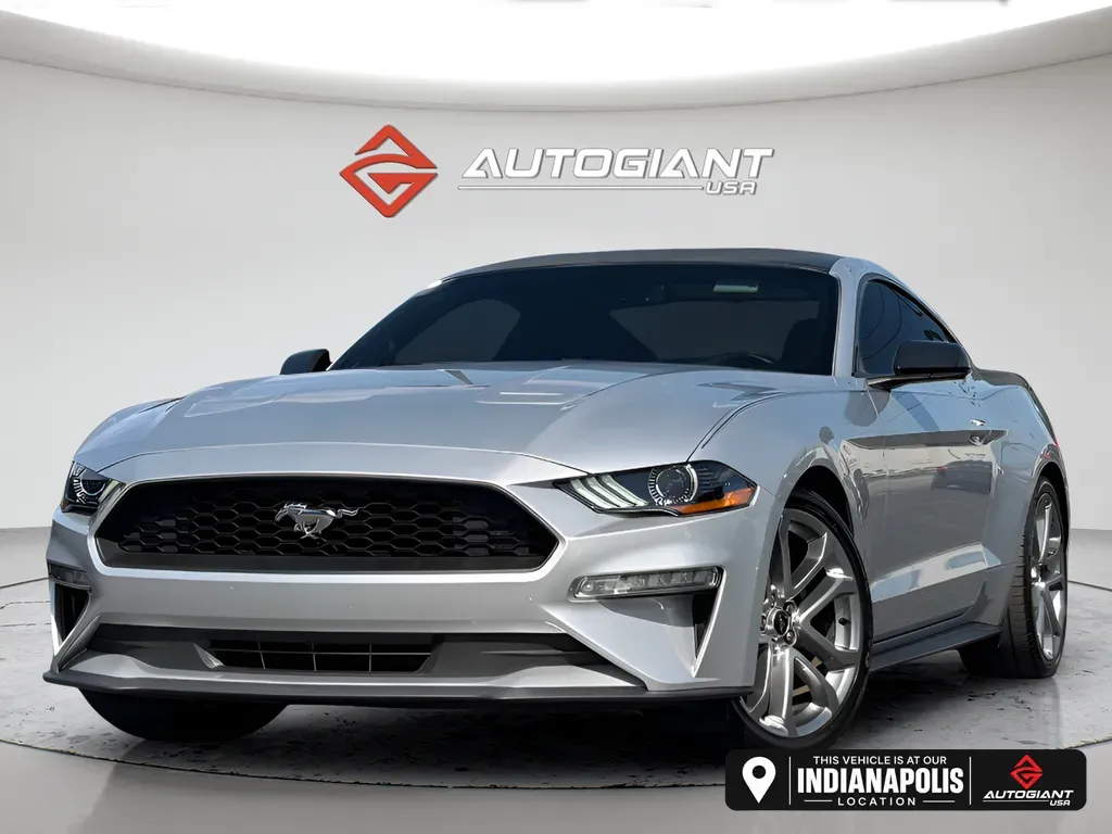 Silver 2019 Ford Mustang EcoBoost for sale in Indianapolis, IN