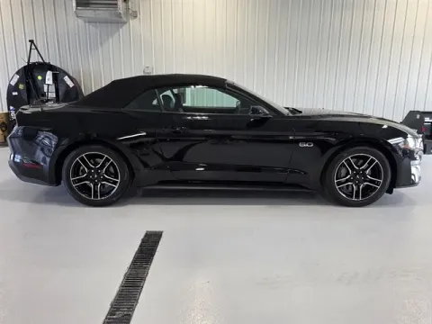Photos of 2019 Ford Mustang GT Premium for sale in Tea, SD at CarSwap