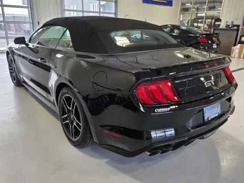 More photos of 2019 Ford Mustang GT Premium at CarSwap, SD
