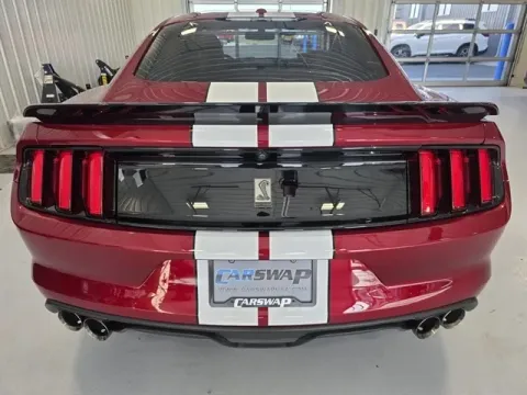 More photos of 2017 Ford Mustang Shelby GT350 at CarSwap, SD