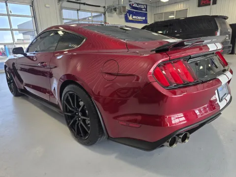 More photos of 2017 Ford Mustang Shelby GT350 at CarSwap, SD
