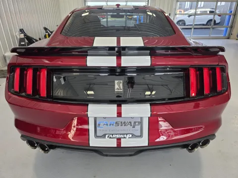 More photos of 2017 Ford Mustang Shelby GT350 at CarSwap, SD