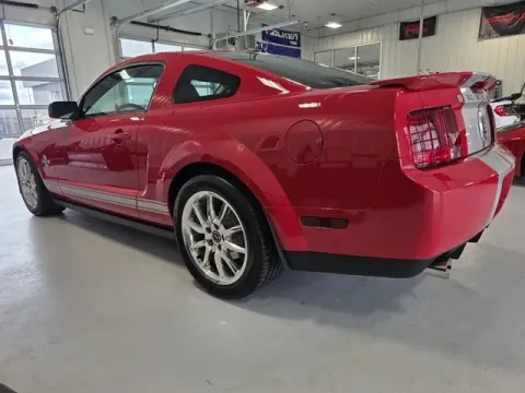 More photos of 2008 Ford Mustang Shelby GT500 at CarSwap, SD