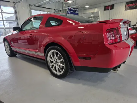 More photos of 2008 Ford Mustang Shelby GT500 at CarSwap, SD