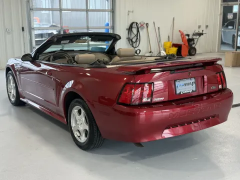 More photos of 2004 Ford Mustang V6 at CarSwap, SD