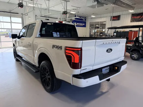 More photos of 2024 Ford F-150 Platinum at CarSwap, SD