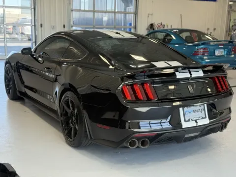 More photos of 2019 Ford Mustang Shelby GT350 at CarSwap, SD