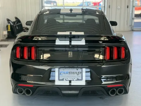 More photos of 2019 Ford Mustang Shelby GT350 at CarSwap, SD