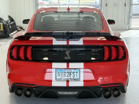 More photos of 2020 Ford Mustang Shelby GT500 at CarSwap, SD
