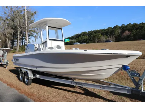 Photos of 2026 Robalo 246 Cayman for sale in Bluffton, SC at Longshore Boats Bluffton