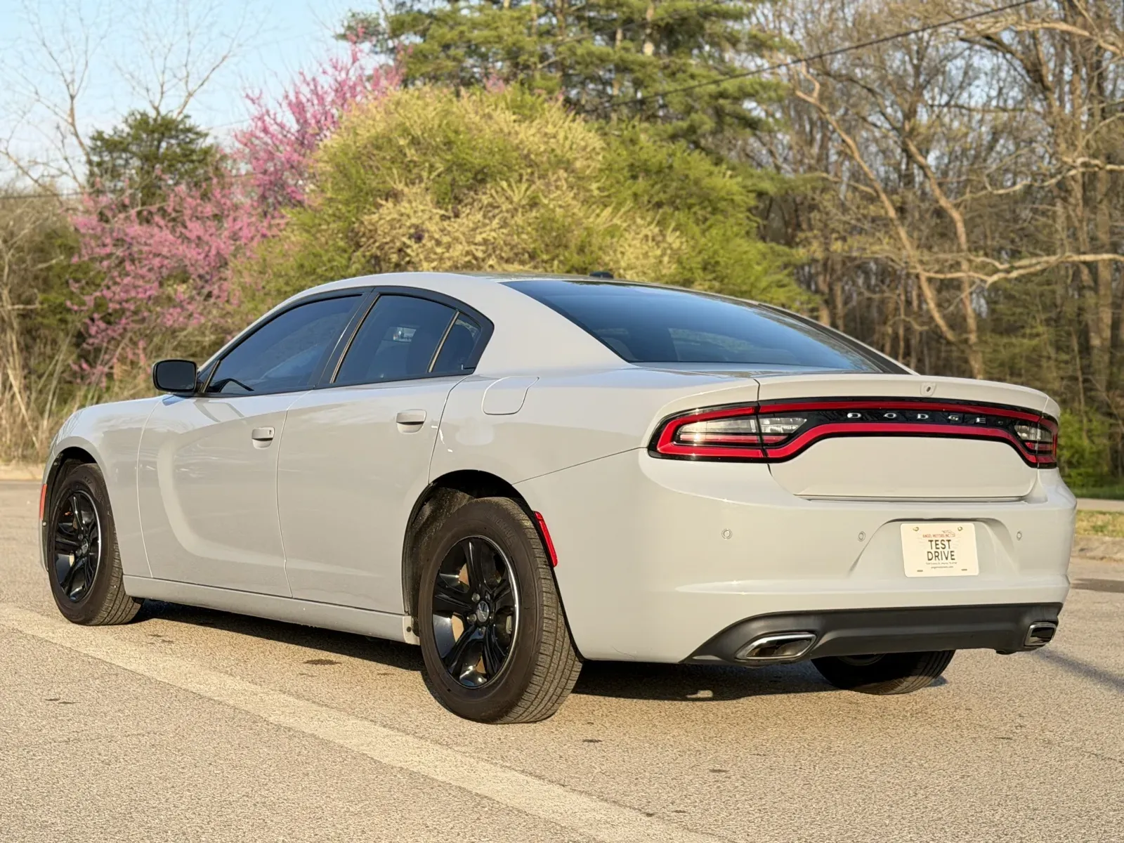 2020 Dodge Charger SXT - Photo 6
