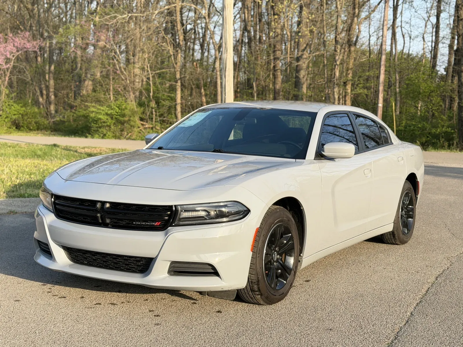 2020 Dodge Charger SXT - Photo 2