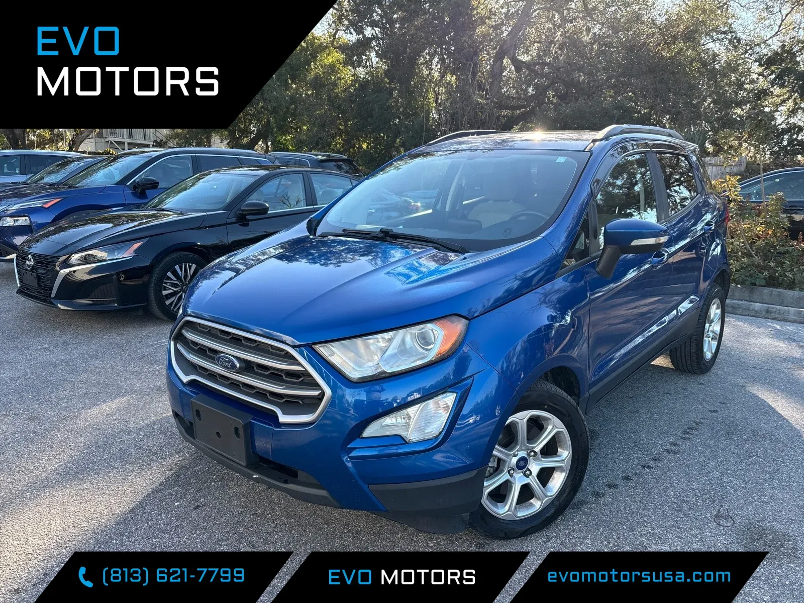 2019 Ford EcoSport SE for sale in Seffner, FL