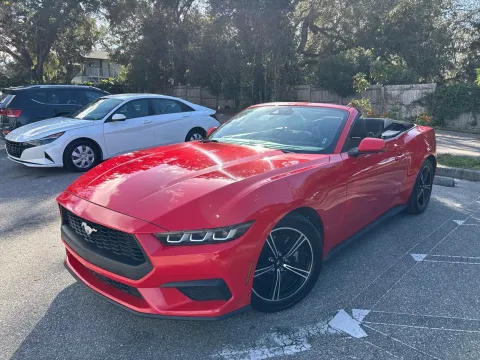 More photos of 2024 Ford Mustang EcoBoost Convertible at Evo Motors, FL