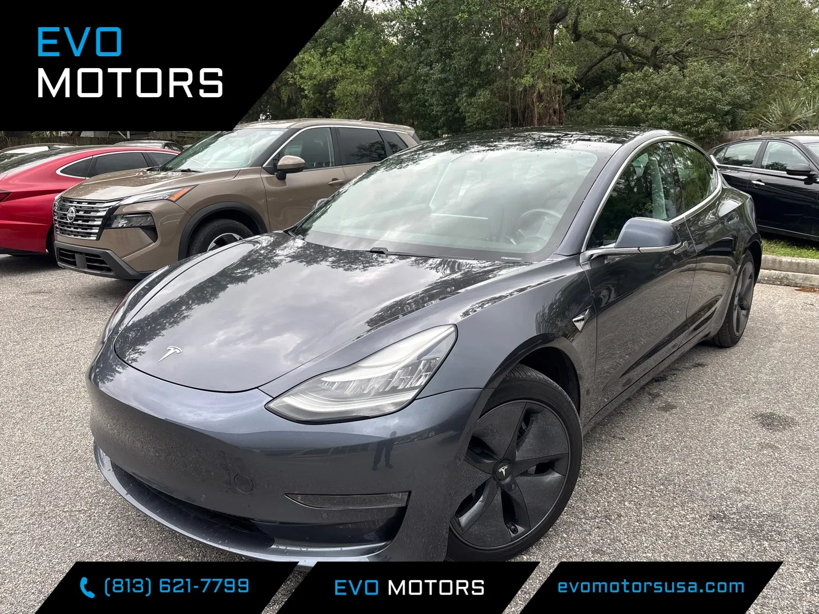 2019 Tesla Model 3 Standard Range Plus for sale in Seffner, FL